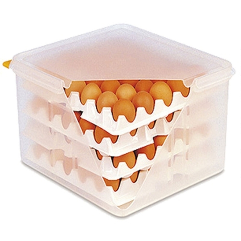 AMS HACCP kompatibilis tojás szállító-tartó doboz 120 db-os, fehér